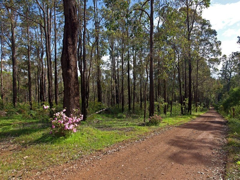 93 Springdale Road, Manjimup WA 6258