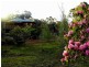 93 Springdale Road, Manjimup WA 6258