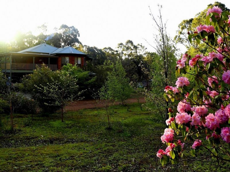 93 Springdale Road, Manjimup WA 6258