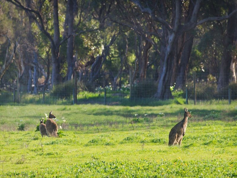 Lot 53 Rushleigh Road, Abba River WA 6280