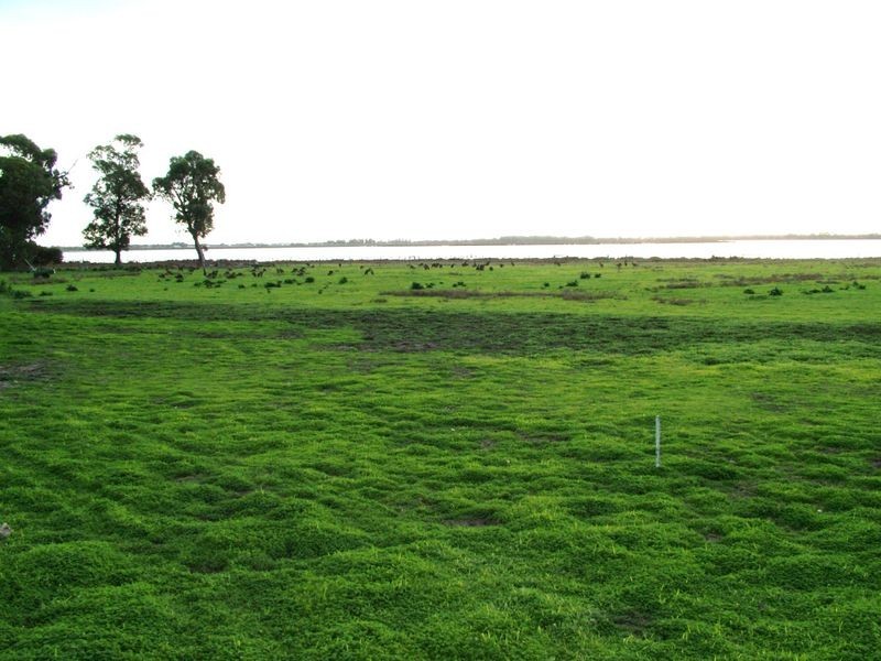 Lot 53 Rushleigh Road, Abba River WA 6280