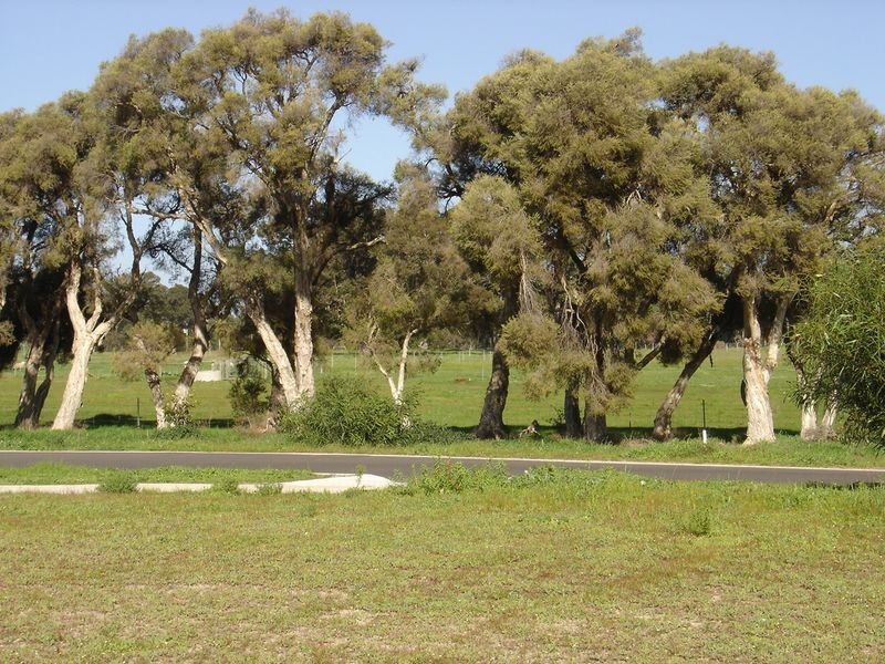 23 Harvester Promenade, Vasse WA 6280