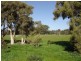 23 Harvester Promenade, Vasse WA 6280