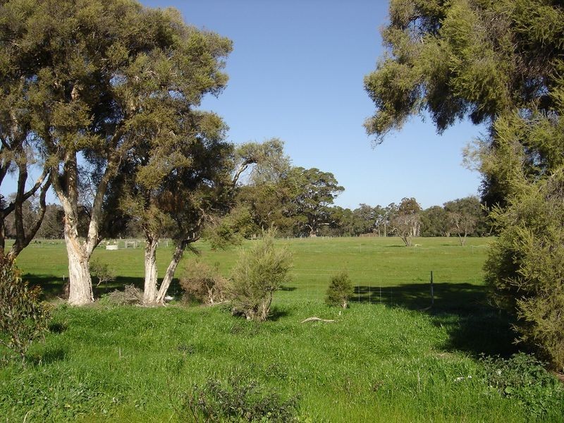 23 Harvester Promenade, Vasse WA 6280