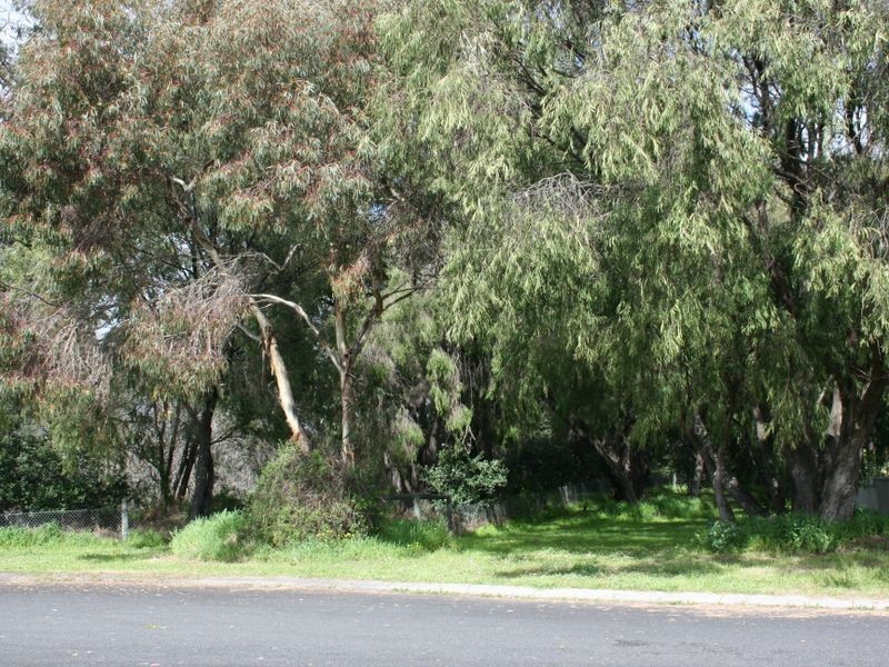 9 Langridge Place, West Busselton WA 6280