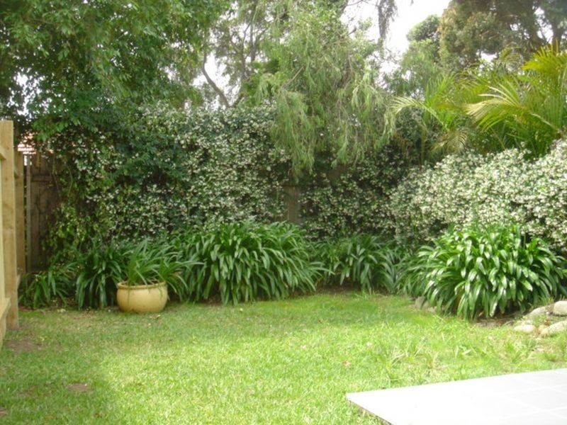 30a Leichhardt Street, Leichhardt NSW 2040
