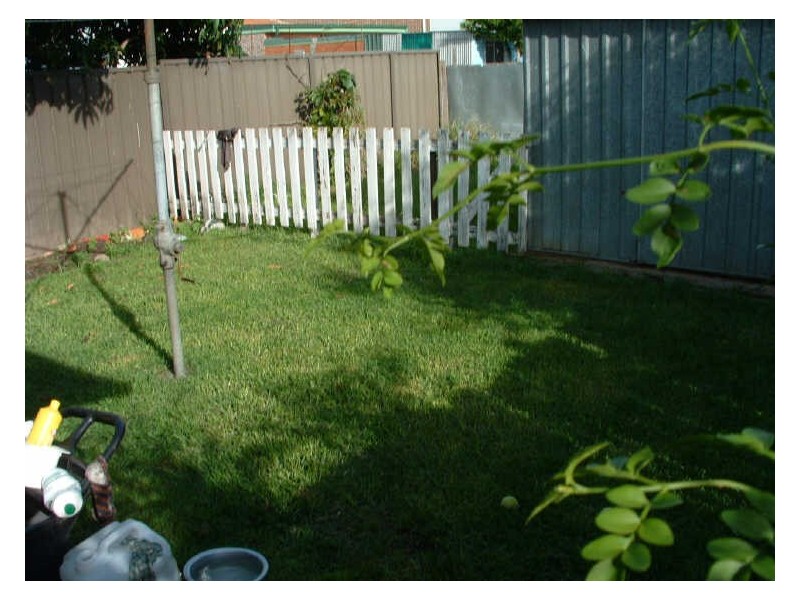 5 Ward Ave, Campsie NSW 2194