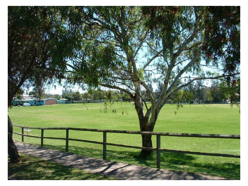 5 Ward Ave, Campsie NSW 2194