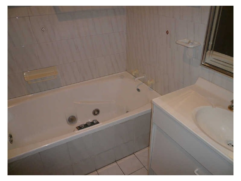 81 Viking Street, Campsie NSW 2194