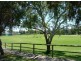 Canterbury NSW 2193