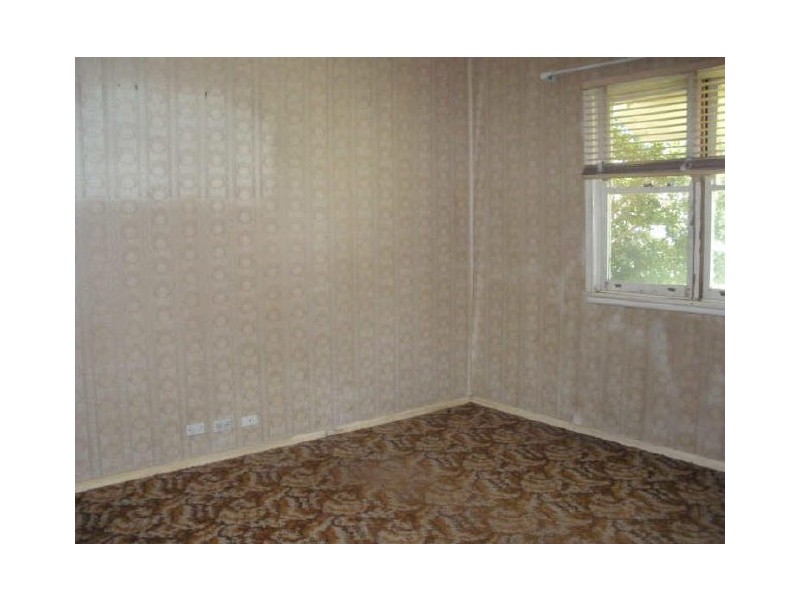 16 Burns Street, Campsie NSW 2194