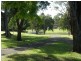4 Bellbird Street, Canterbury NSW 2193