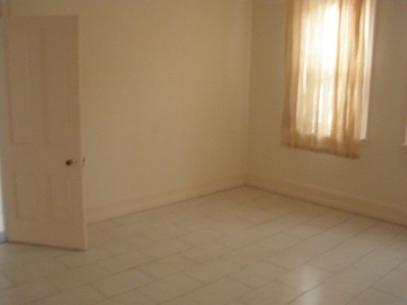 21 Waratah Street, Canterbury NSW 2193