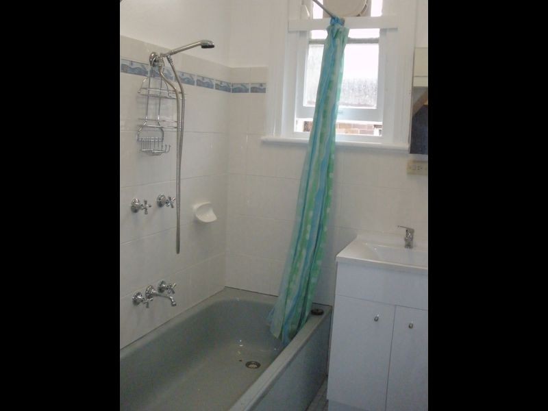 29 Rose Street, Ashfield NSW 2131