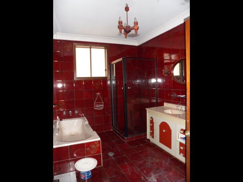 14 Scahill Street, Campsie NSW 2194