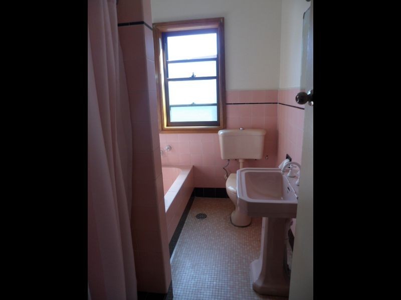 17 Robertson Street, Campsie NSW 2194