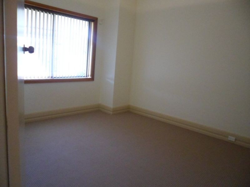 17 Robertson Street, Campsie NSW 2194