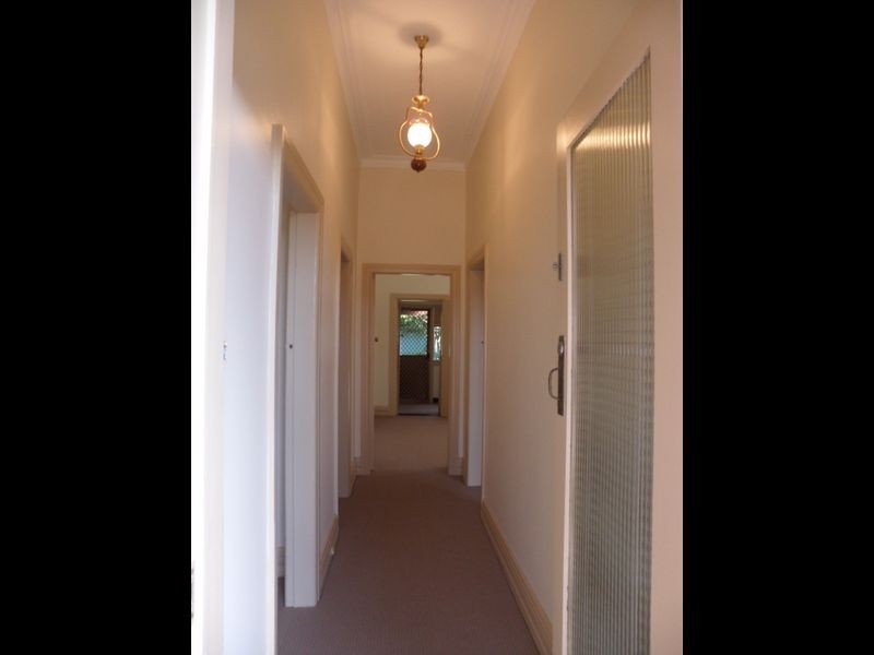 17 Robertson Street, Campsie NSW 2194