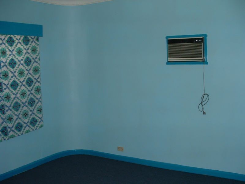 317 Roberts Rd, Greenacre NSW 2190