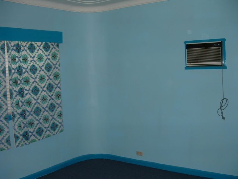 317 Roberts Rd, Greenacre NSW 2190