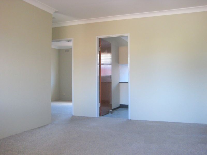 81 Frederick Street, Campsie NSW 2194