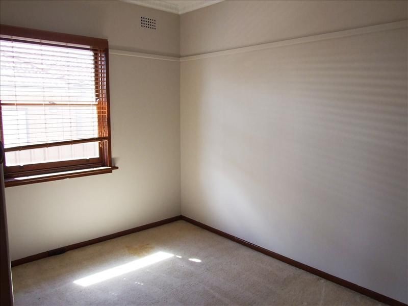 44 Turton Ave, Clemton Park NSW 2206