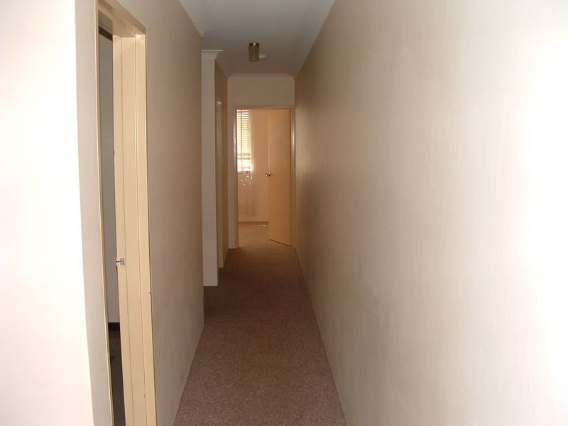 33 Park Street, Campsie NSW 2194