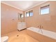 54 Etela Street, Belmore NSW 2192