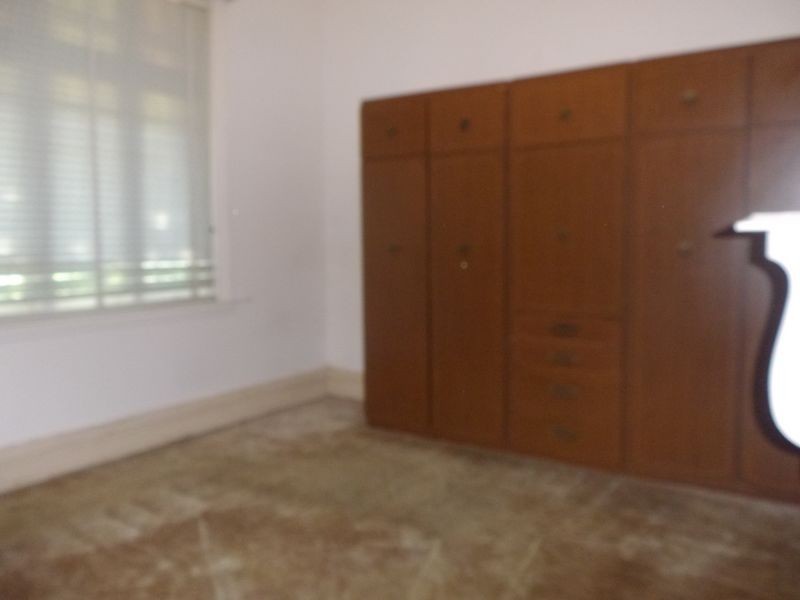 17 Gelding St, Dulwich Hill NSW 2203