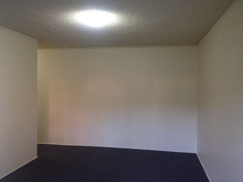 38 Loftus Street, Campsie NSW 2194