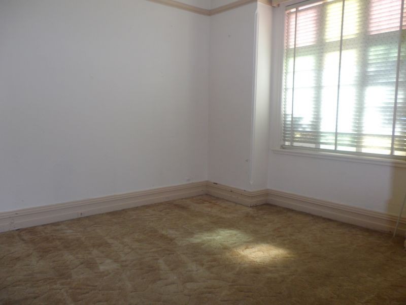 17 Gelding St, Dulwich Hill NSW 2203