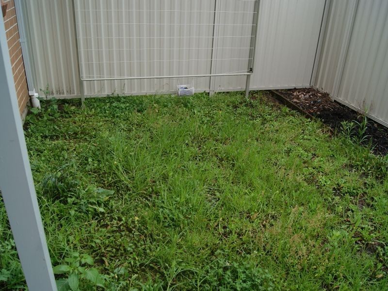 6/50-54 Third Avenue, Campsie NSW 2194