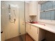 44 Cecilia Street, Belmore NSW 2192