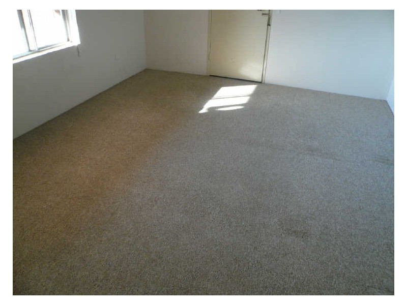 24/2-4 London Street, Campsie NSW 2194