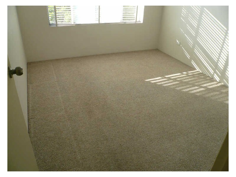 24/2-4 London Street, Campsie NSW 2194