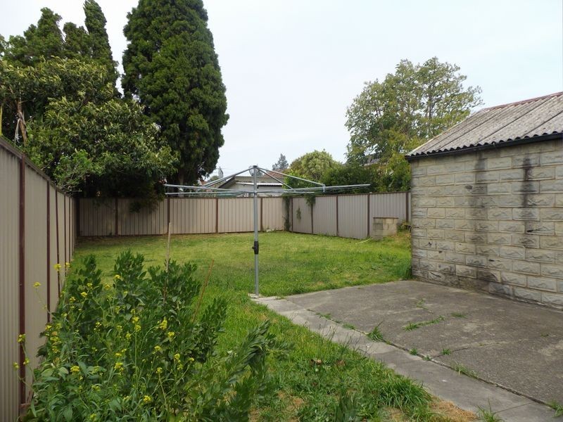 24 Frederick Street, Campsie NSW 2194