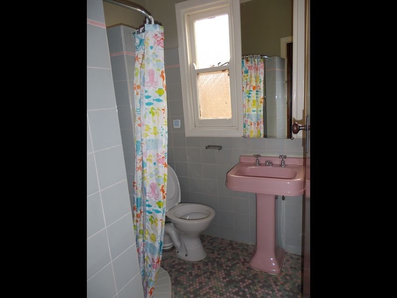 24 Frederick Street, Campsie NSW 2194