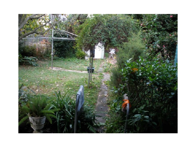 11 First Avenue, Campsie NSW 2194