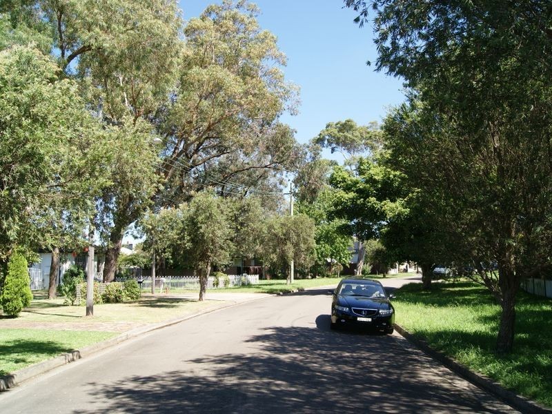 87 Viking Street, Campsie NSW 2194