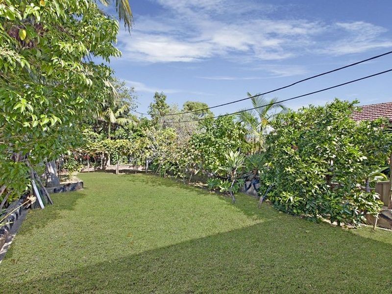 29 Wearne Street, Canterbury NSW 2193