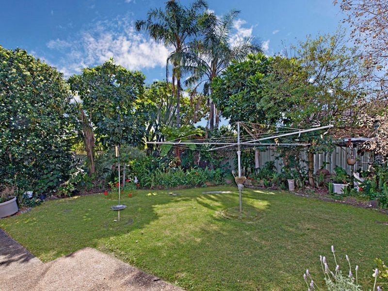 11 Kelvin Street, Ashbury NSW 2193