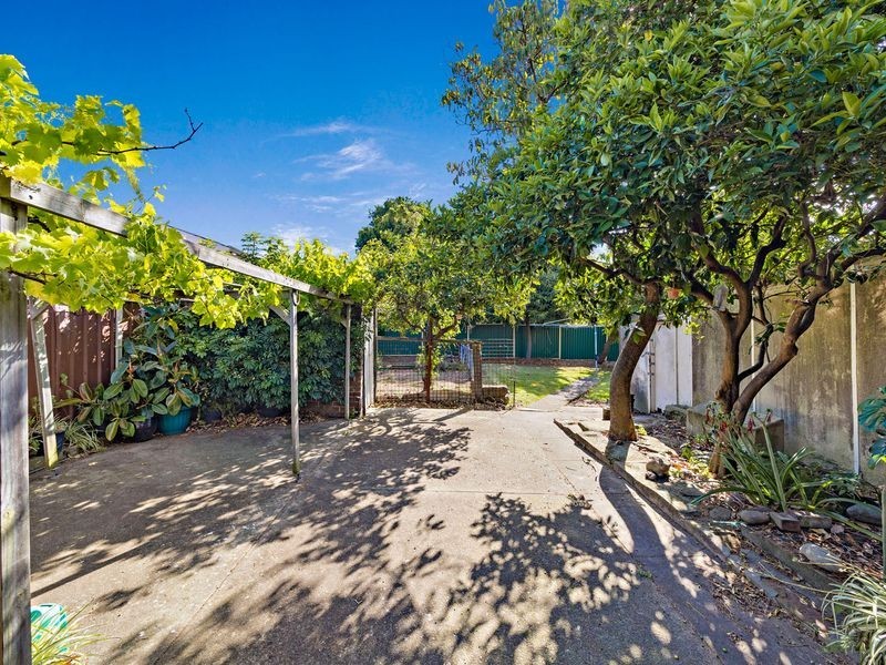 17 Robertson Street, Campsie NSW 2194