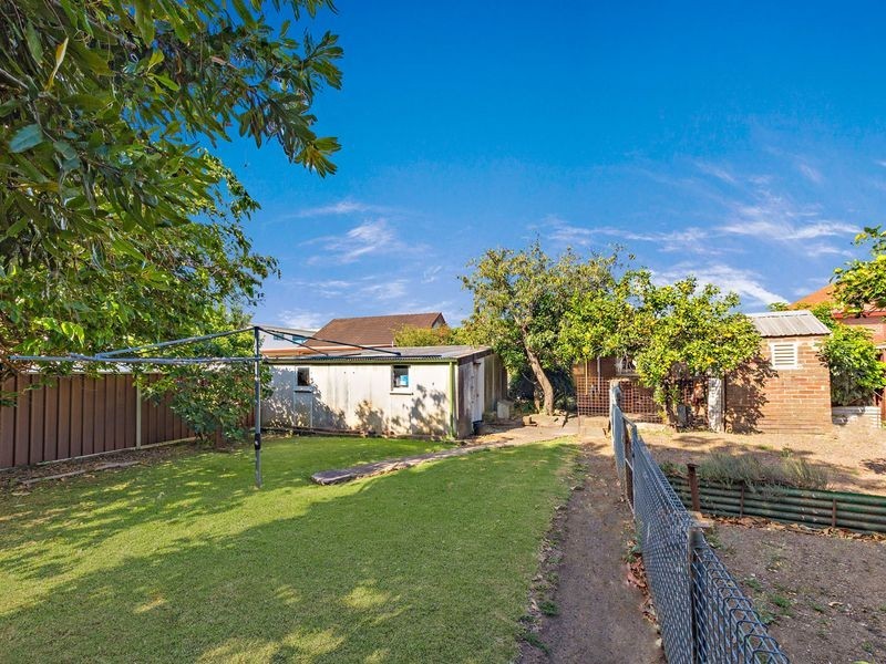 17 Robertson Street, Campsie NSW 2194