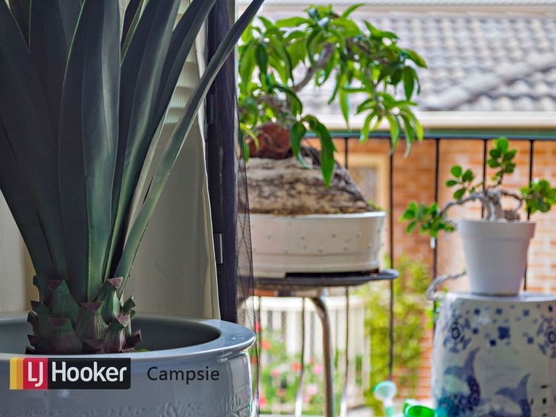 8/23 Unara Street, Campsie NSW 2194