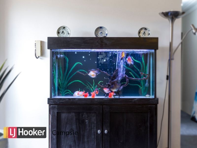 8/23 Unara Street, Campsie NSW 2194