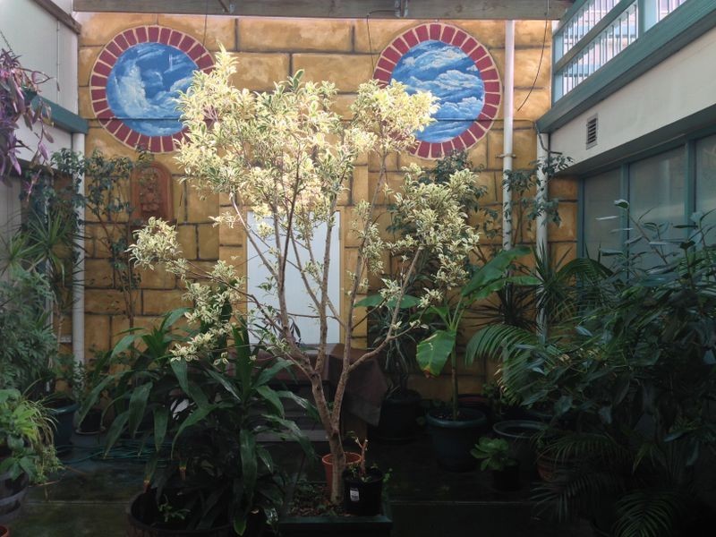 61-67 Byron place, Adelaide SA 5000