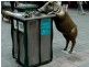 3/21-23 Rundle Mall, Adelaide SA 5000