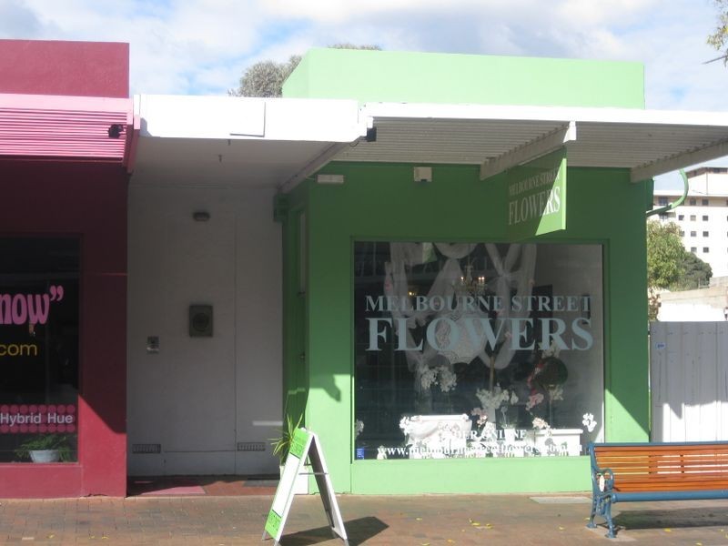 147 Melbourne Street, North Adelaide SA 5006