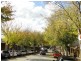2 Gawler Street, Mount Barker SA 5251