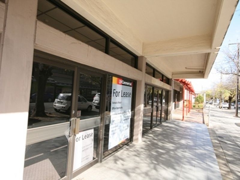 133 Archer Street, North Adelaide SA 5006